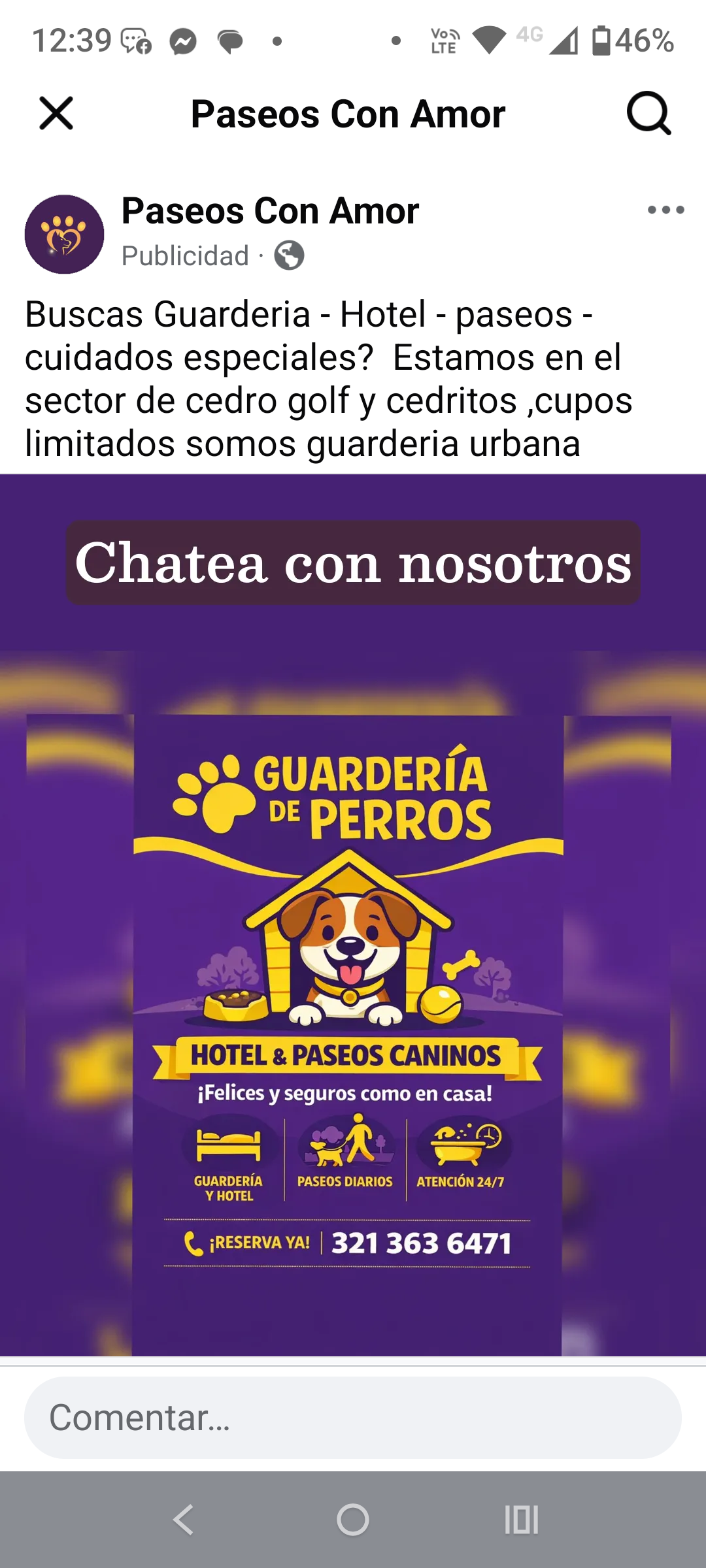 Prueba