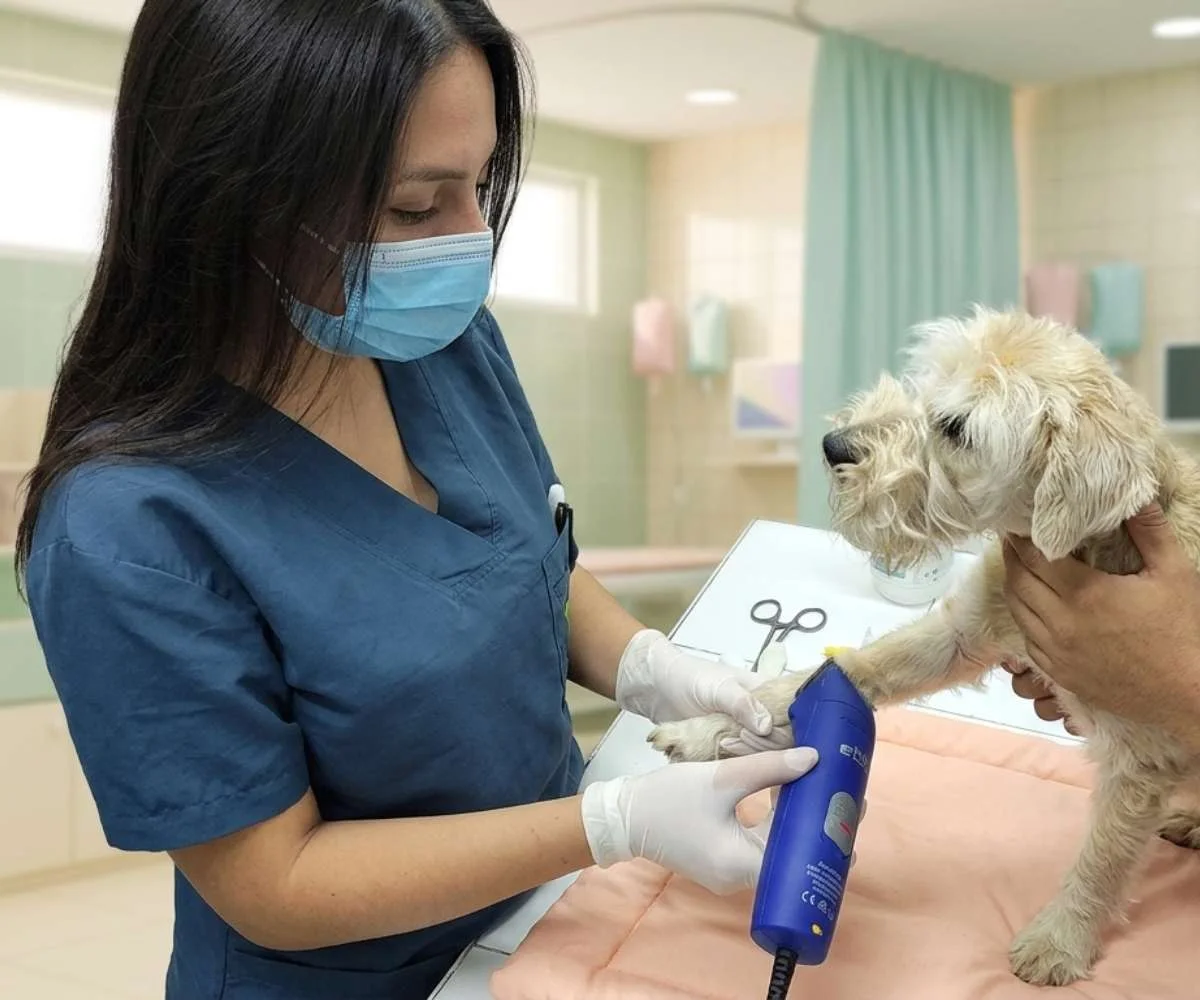 Hospitalización veterinaria